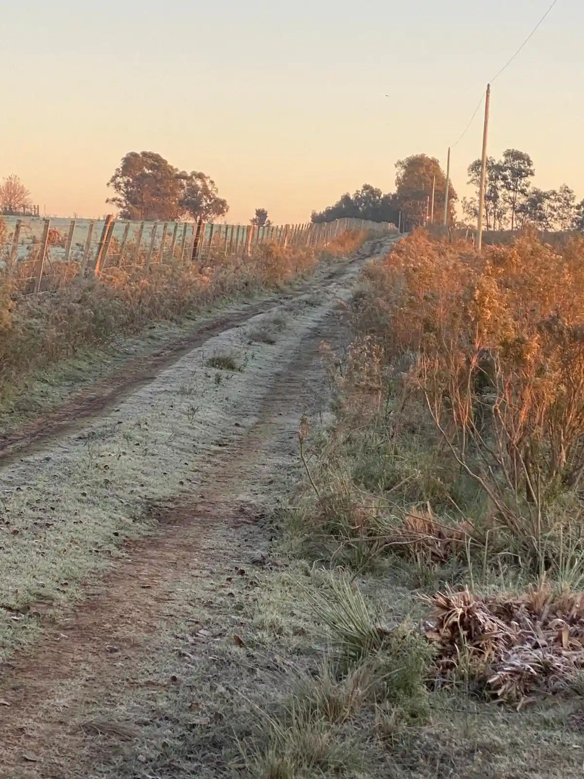 Proyecto de Caminería estrecha de Vialmaquinaria - antes (proyecto 1)