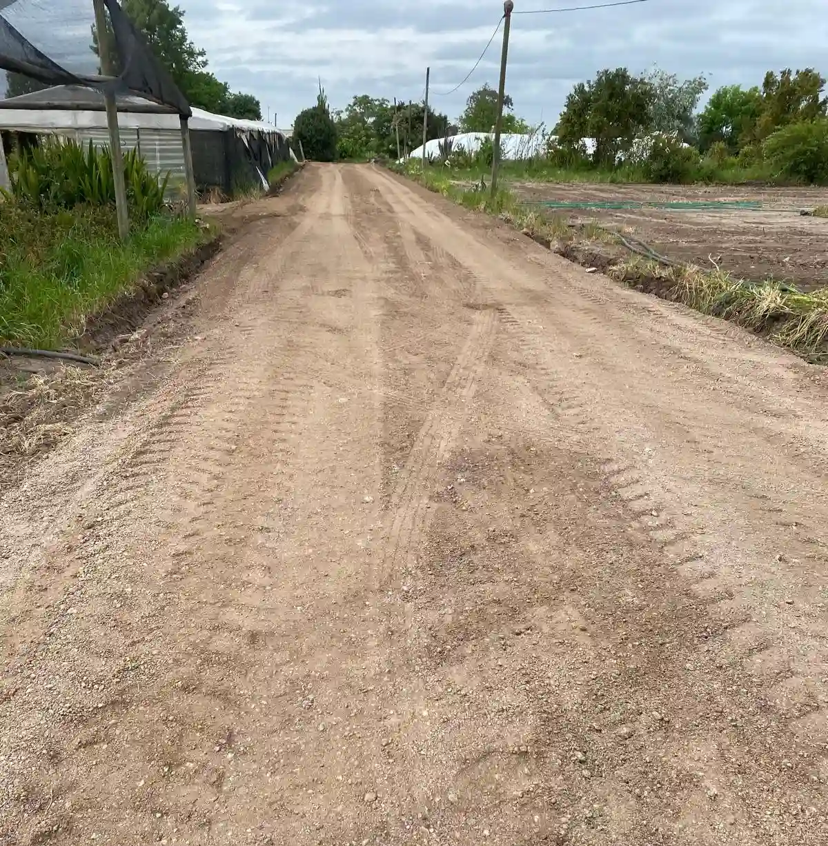 Proyecto de Caminería en vivero e ivernáculos de Vialmaquinaria - después (proyecto 4)