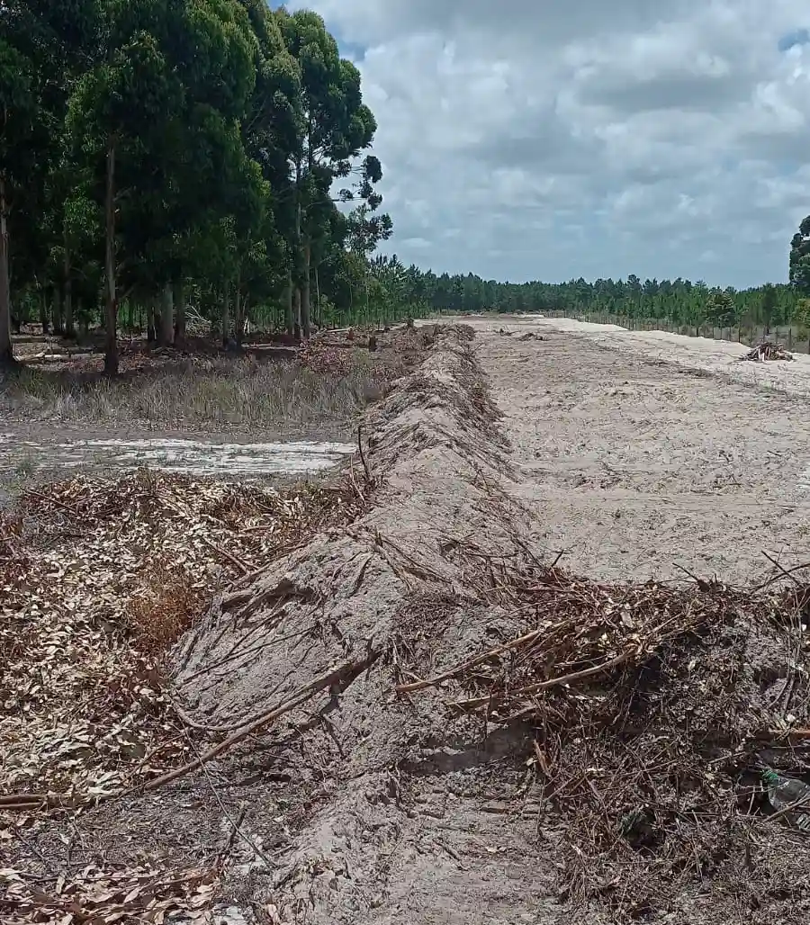 Limpieza de terrenos hecha por Vialmaquinaria en Uruguay - antes (proyecto 1)