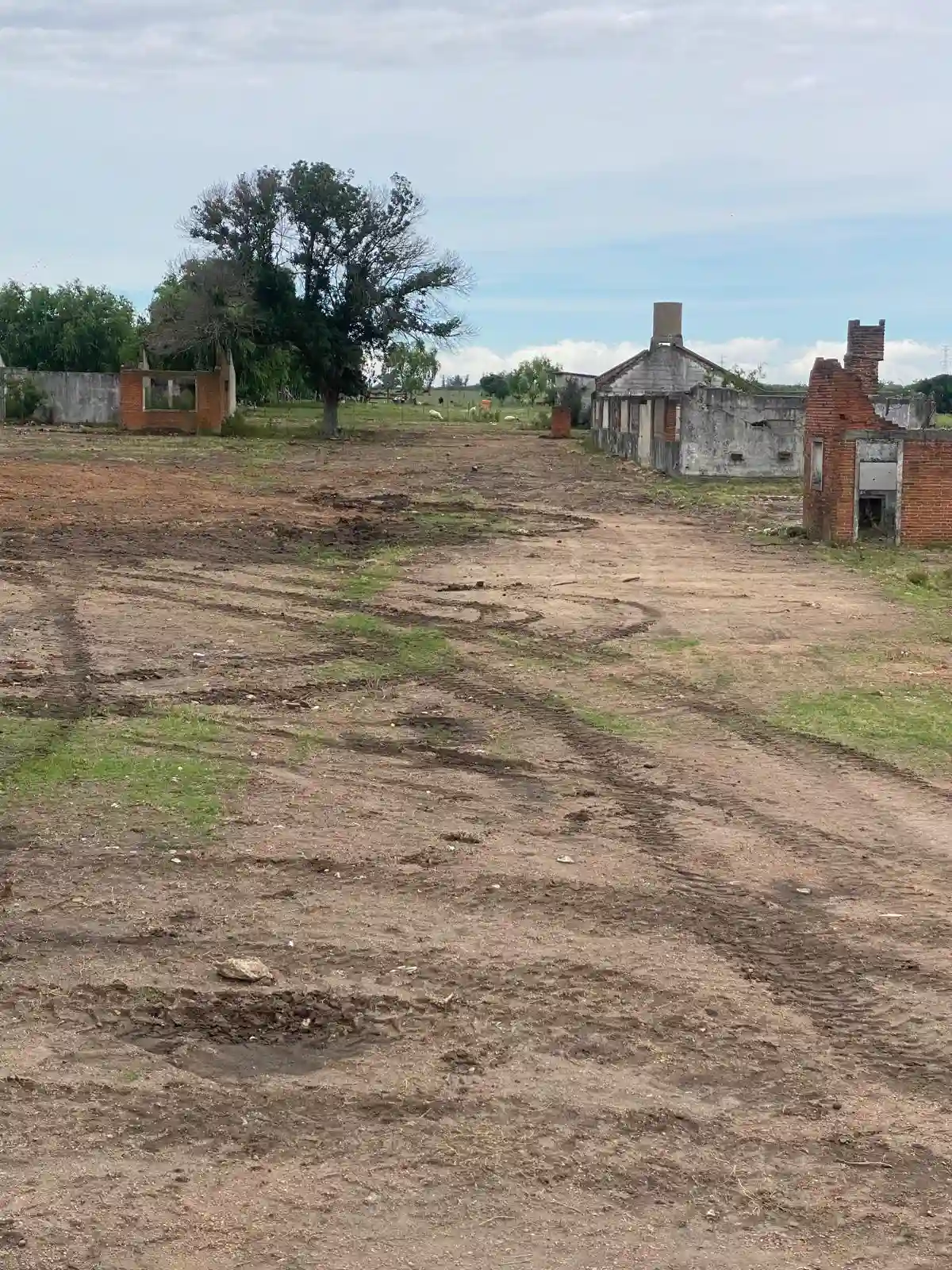 Limpieza de terrenos hecha por Vialmaquinaria en Uruguay - después (proyecto 2)