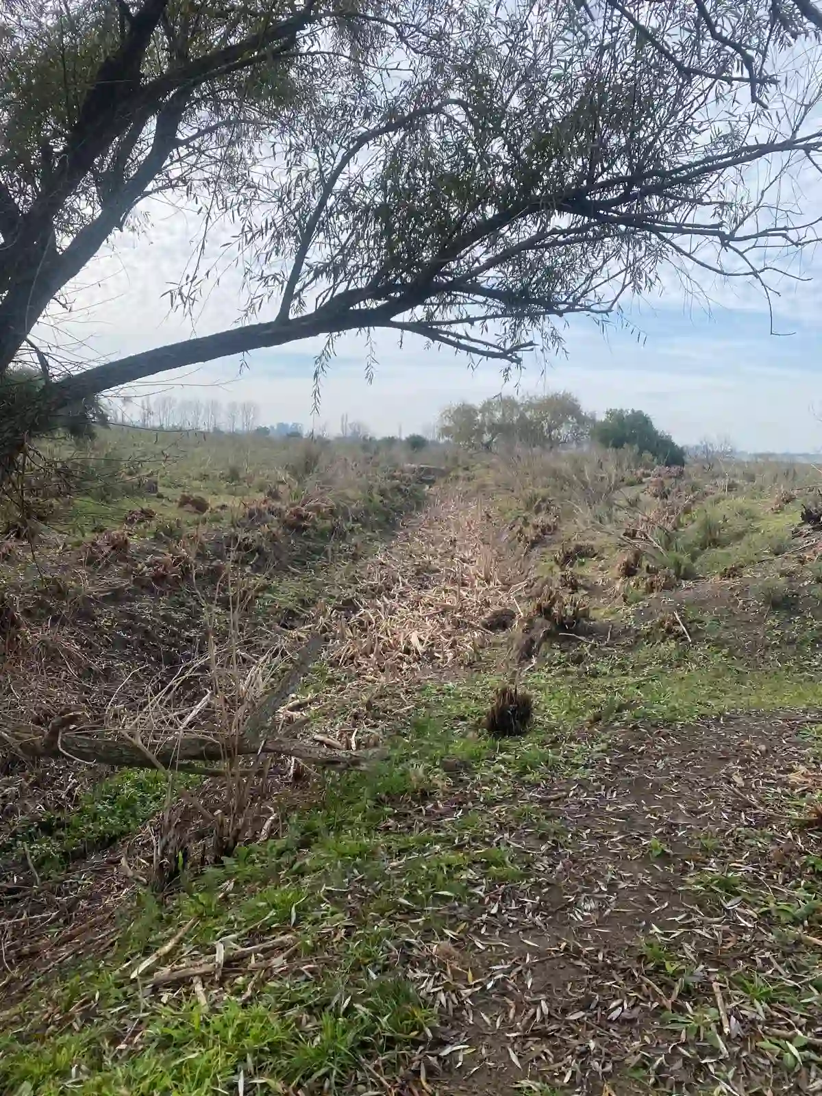 Limpieza de cañada hecha por Vialmaquinaria en Uruguay - antes (proyecto 4)