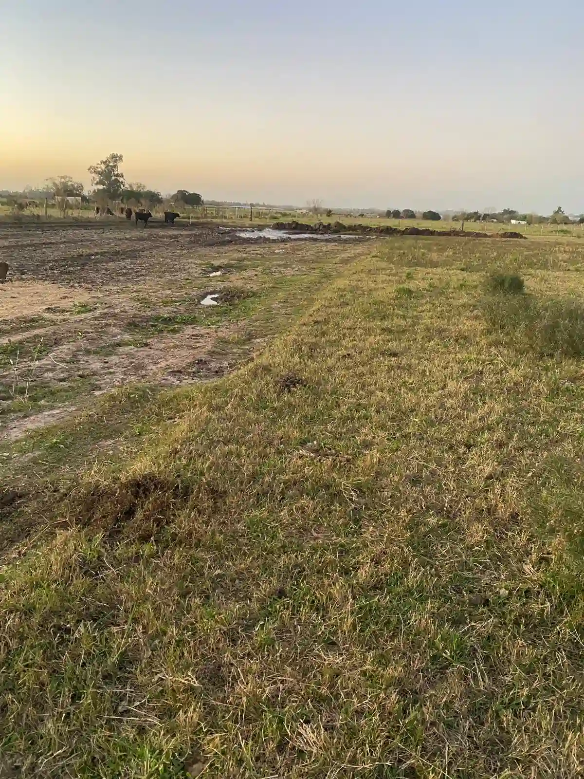 Creación de Tajamar amplio por Vialmaquinaria - antes (proyecto 1)