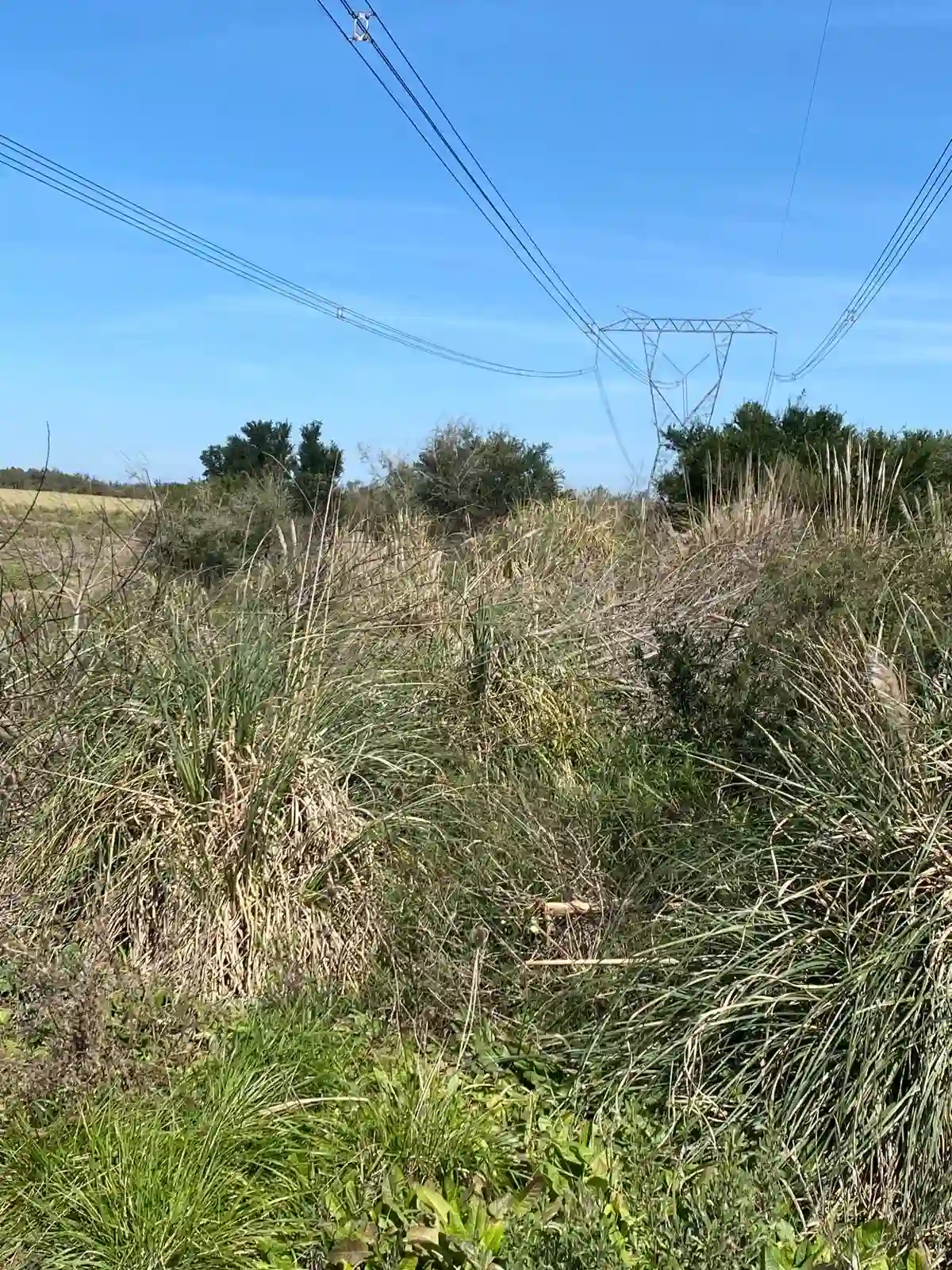 Creación de Tajamar por Vialmaquinaria - antes (proyecto 2)