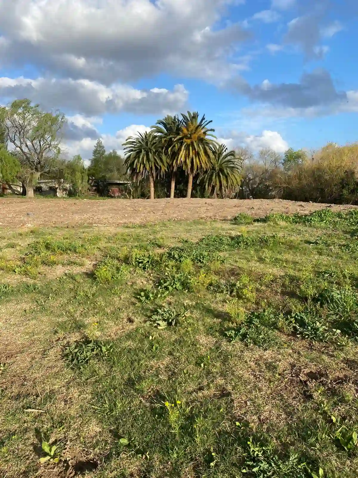 Creación de Tajamar pequeño por Vialmaquinaria - antes (proyecto 3)